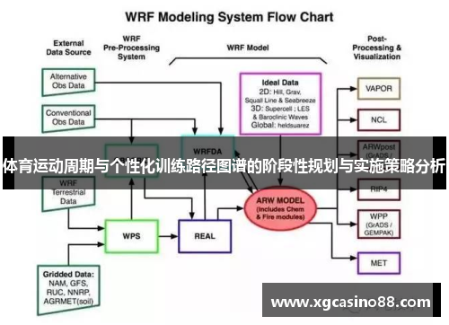 体育运动周期与个性化训练路径图谱的阶段性规划与实施策略分析